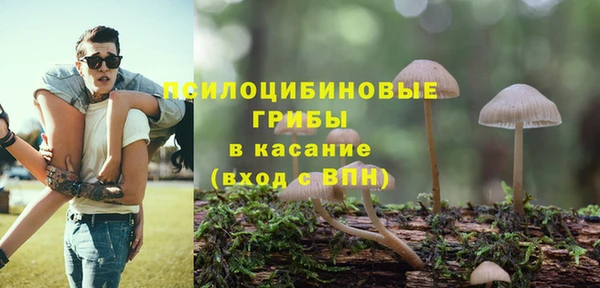 гашик Нея