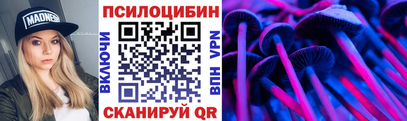 Псилоцибиновые грибы Magic Shrooms  купить наркотики сайты  Фокино 