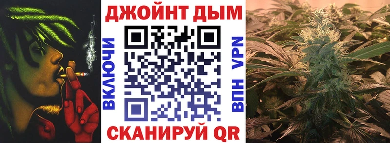 kraken как войти  Фокино  Канабис марихуана  что такое наркотик 